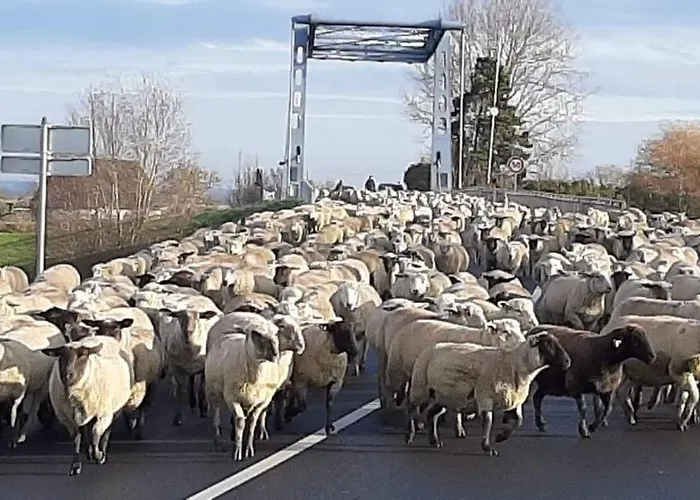 Les Flots De St Val Apartment